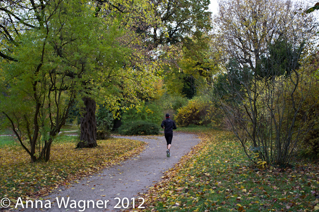 jogger in the park of Schoenbrunn